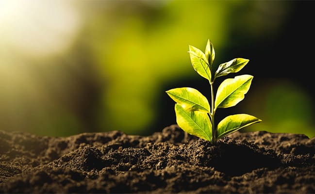 OBY Critical Minerals is an Australian-based developer securing the future of sustainable abundance through the advancement of the district-scale Man of War Rare Earth Project in Minas Gerais, Brazil.